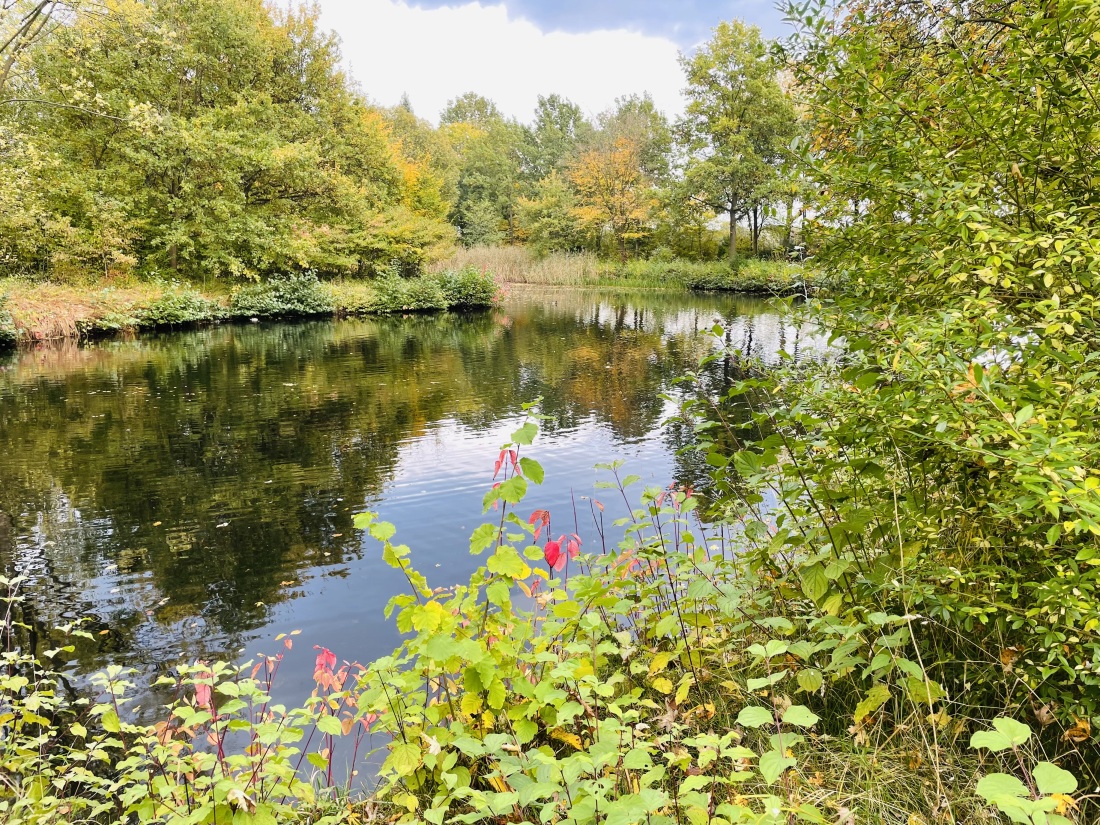 Achterdiekpark Achterdiekpark